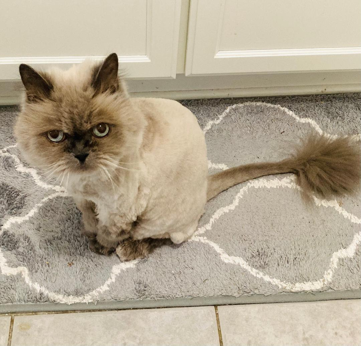 339fbd521b94d098ef371c5beb