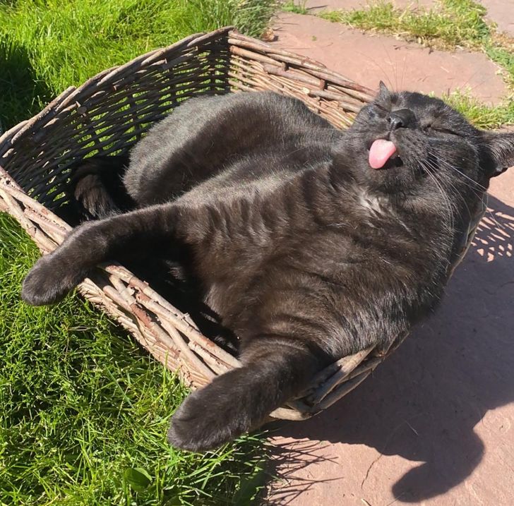 33a0ec56dd99990be45fa9a741 33a0ec56dd99990be45fa9a741