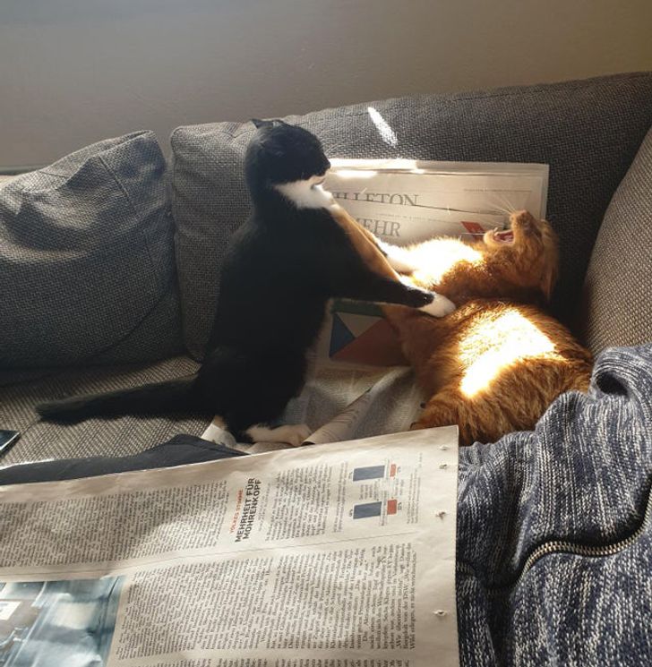 33a1ab5d4d945177f7720b9229