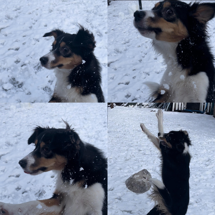 33a65e55658c21a107ffbd51c9