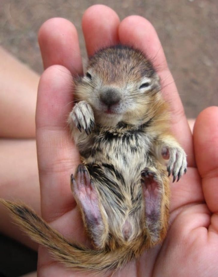 33a8615eeb811345190906cd3e