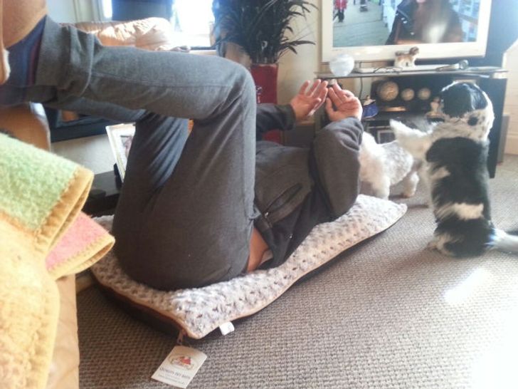 33a8d856cfb3e5bfd096c445cf