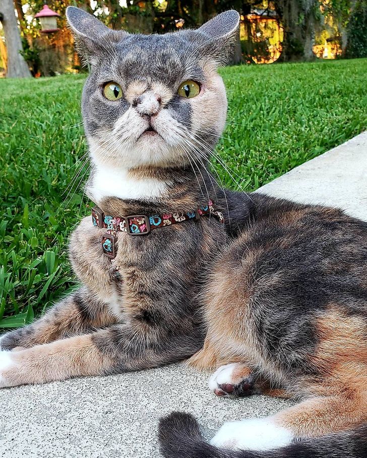 33a8fb5d21b2a71642c7715102