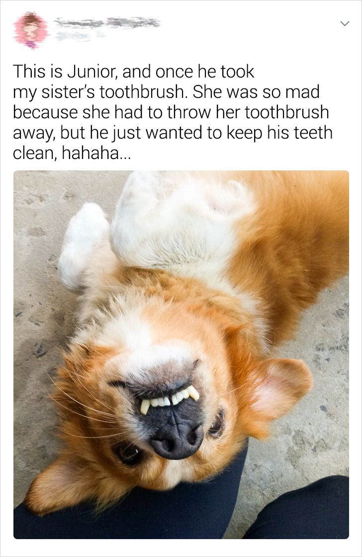 33a95957e883b1c9dbcee72ca7