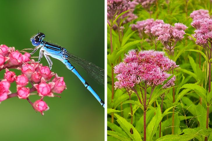 33b0d054f0a4540d80aea44b88