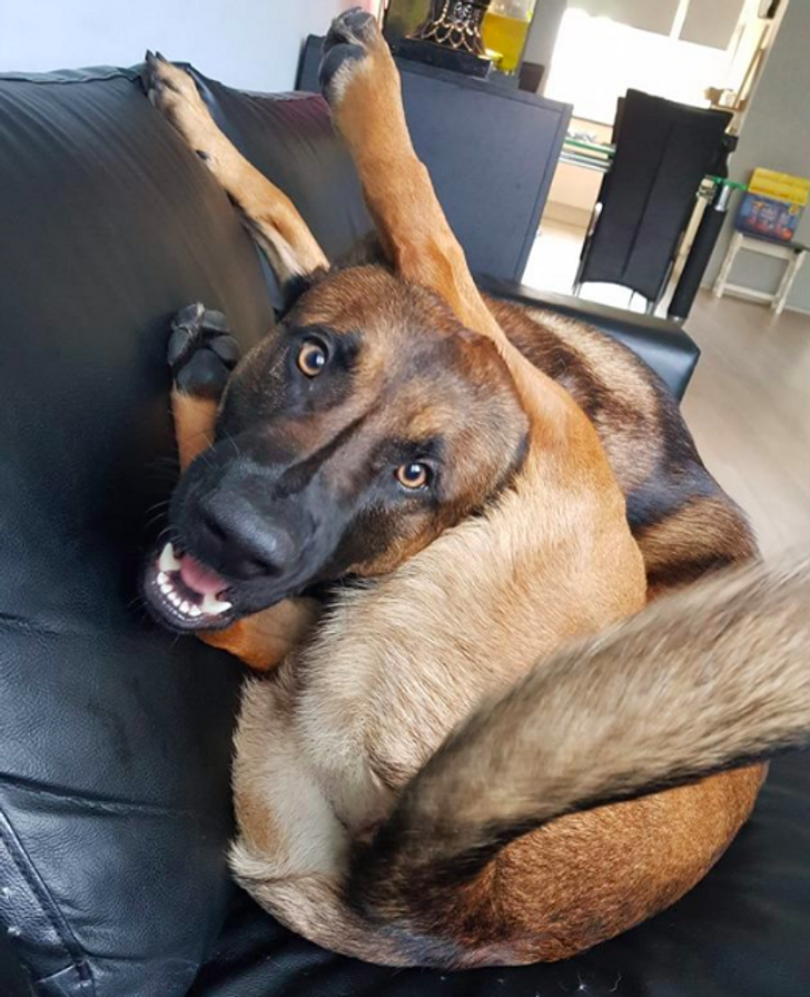 33b4735d6db7a9511cd876b693