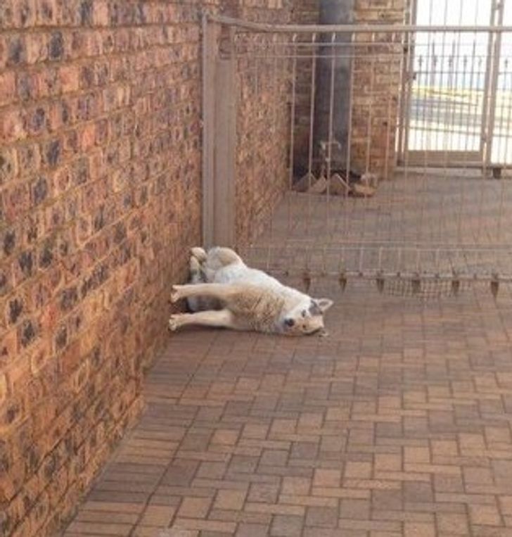 33bb3e5299a277f6017287c2b7