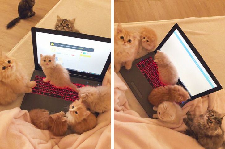 33bb935fdcbc0a030d5a7d5292