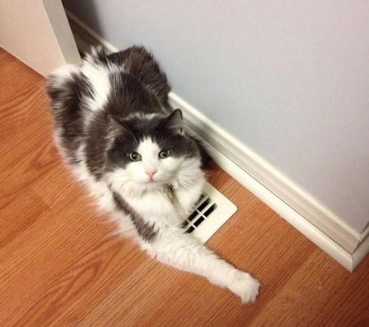 33bd2552aea5924cbd889e657e