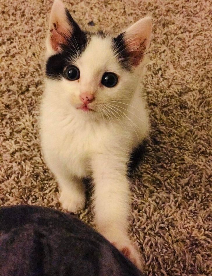 33c1f95813b1a3ad7f6bef489a