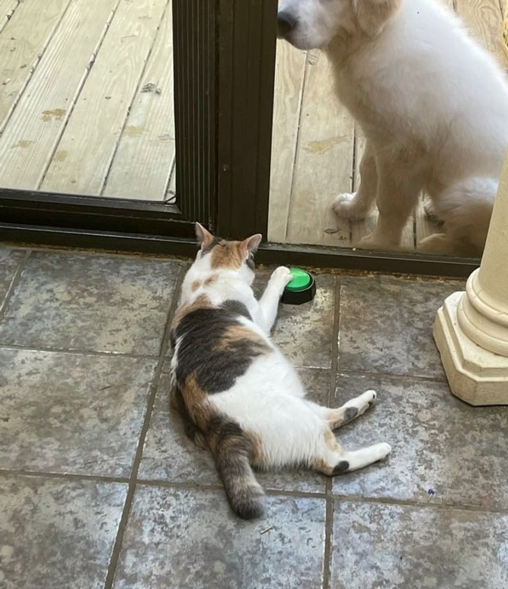 33cd9b5404a832113cae571e30