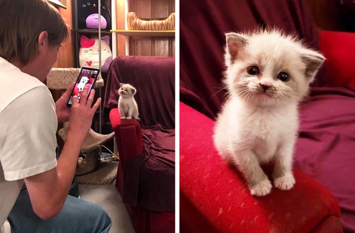 33d0605d71972bb8aac734ed5b