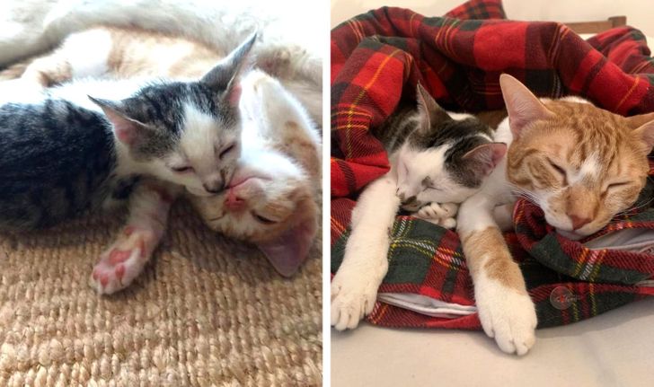 33d0d95c2f8b1bba69ad5d5b2e