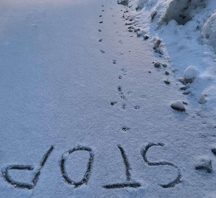 33d400521c89762f4265576250 33d400521c89762f4265576250