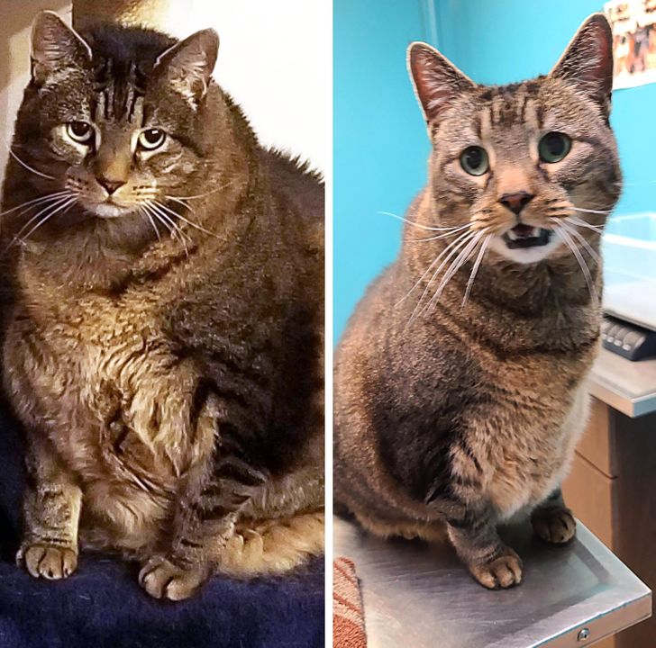 33e1795598b3214545e24a5ac8