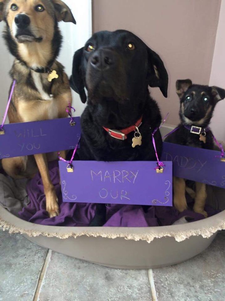 33e5b6503ca039aa58733350e4