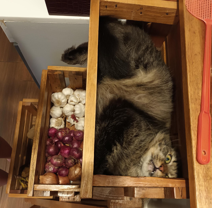 33eda75345983596050bce4fd1