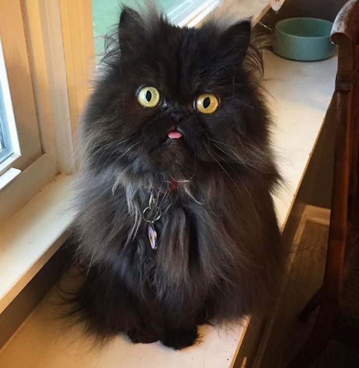 33ee7a5c53971a2f388e13f2f5