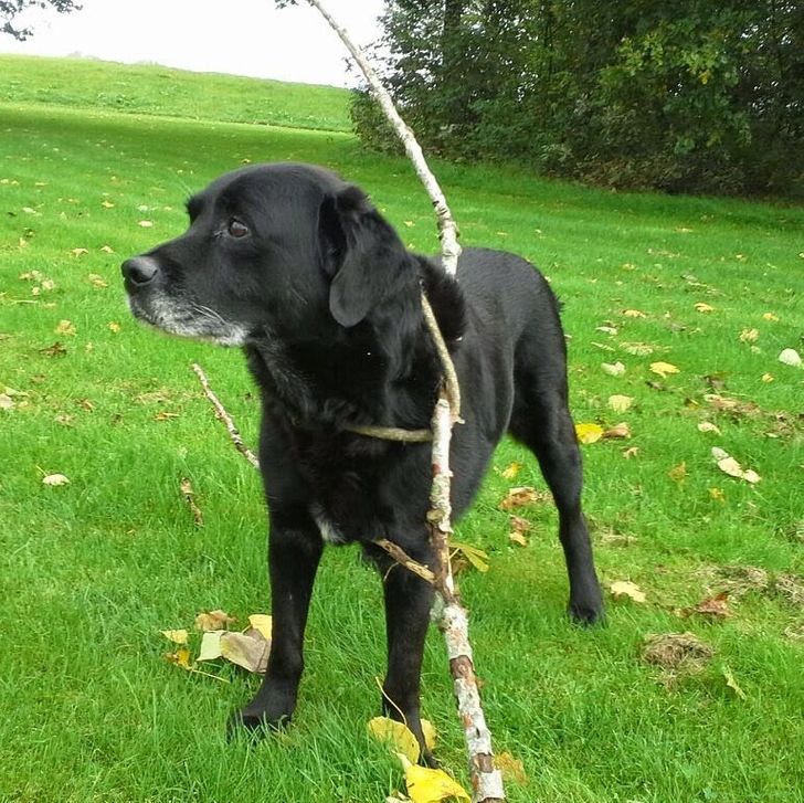 33f5ff59bea5b53d031a95e52e