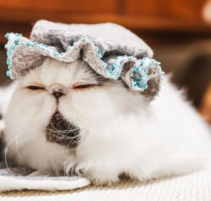 33fdd1582481879403d96c386e