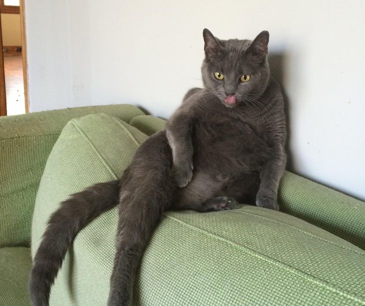 33ff2353878f8c9778d45aff29 33ff2353878f8c9778d45aff29