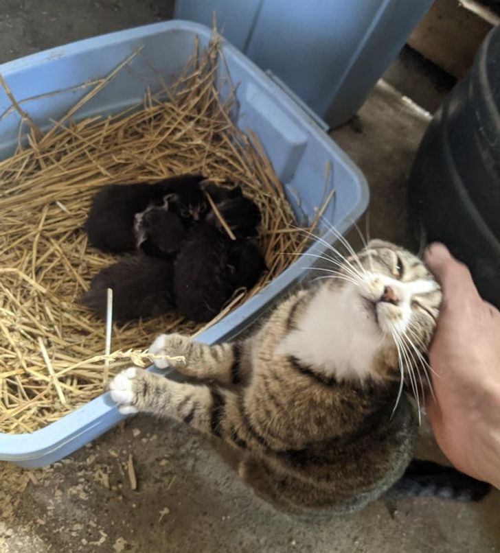 34008b571d93de60438a0c0ca1