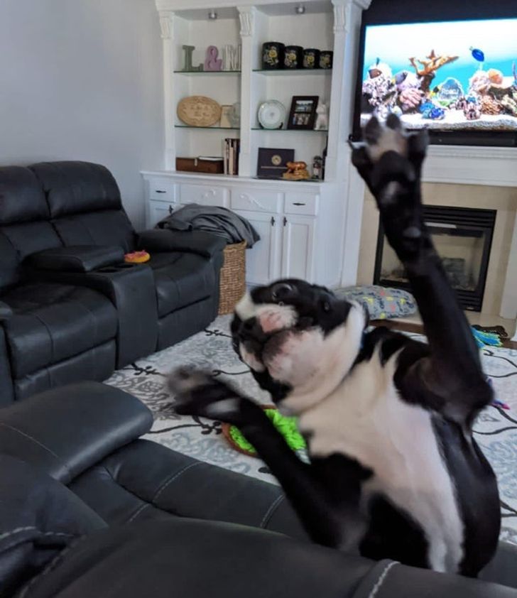 34017a57589ac40f31c88dab55