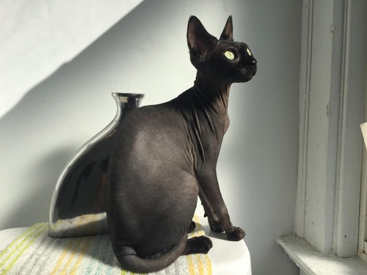 3402555ef7bafc18075e4caeab