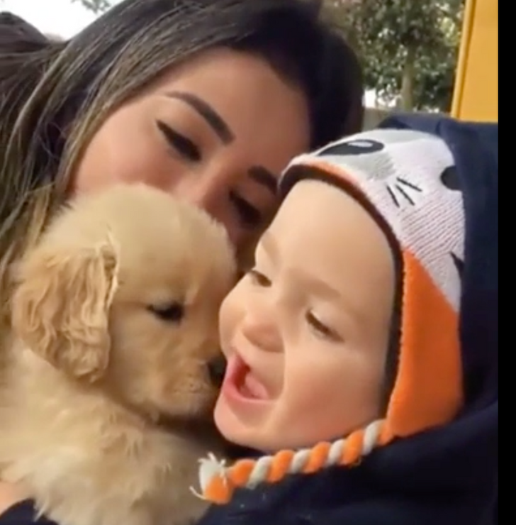 34081b542682348842f0992e1b