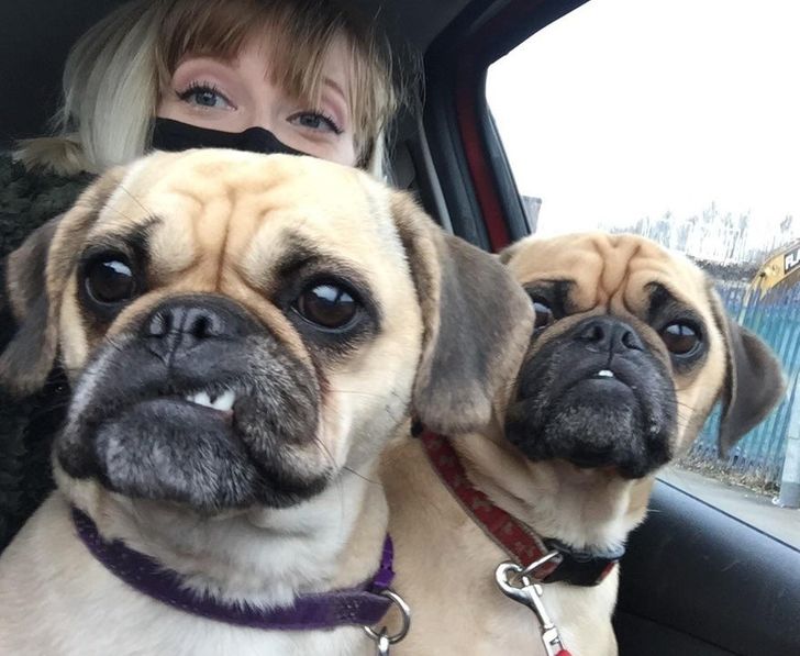 3408895ca38588e4cf031db14a