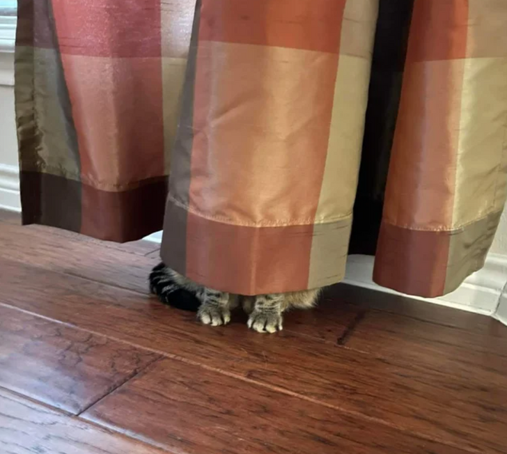 340f335733bc8f566142bcb7db