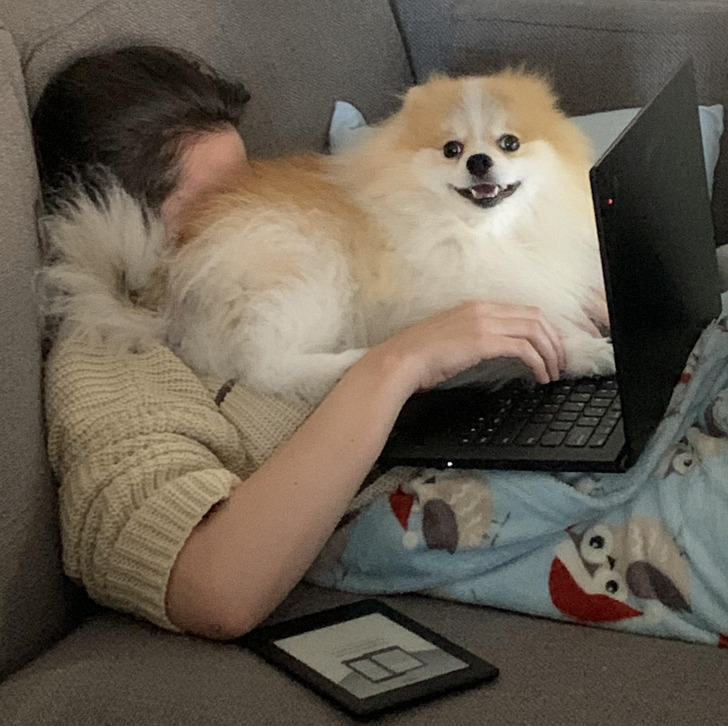 3412c054cb96bb60041f4af527 3412c054cb96bb60041f4af527