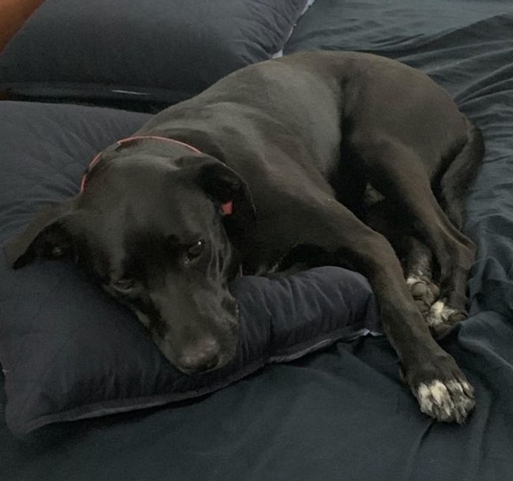 3419305f2684d72232b415919b