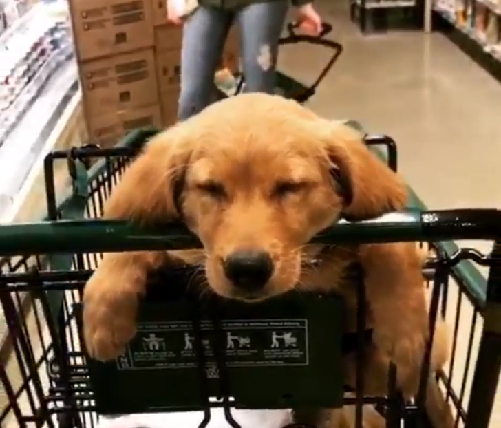 3420375232948b0e2c76d11a65