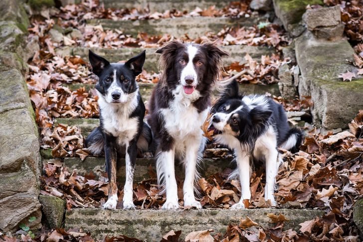 34291b550ca794d21ef19f952c