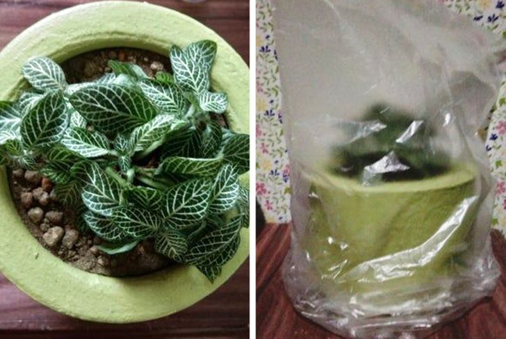 3435e759a6bfe6a79a7234be16