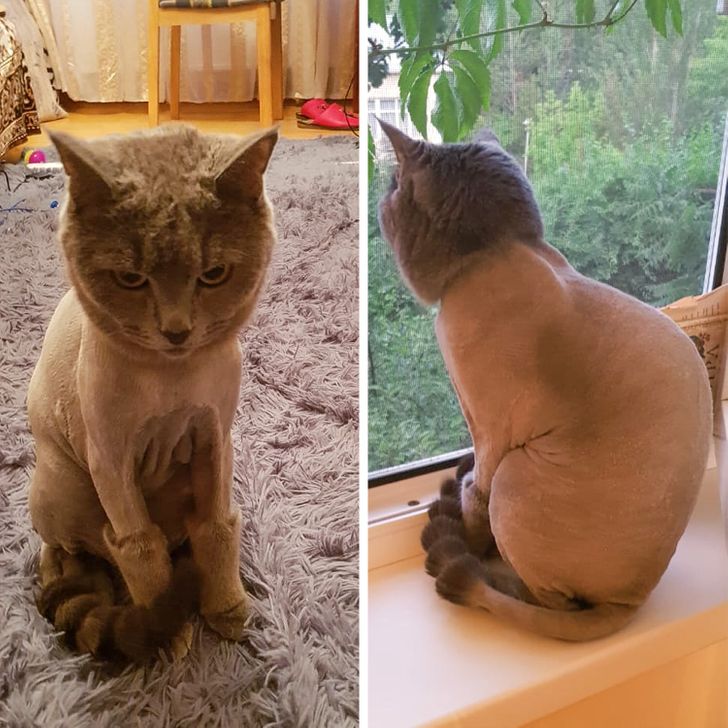 343a775b398e811edac11bc2bf 343a775b398e811edac11bc2bf