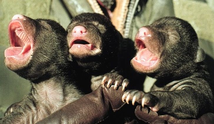 343a9f51719e6ca2902998a986