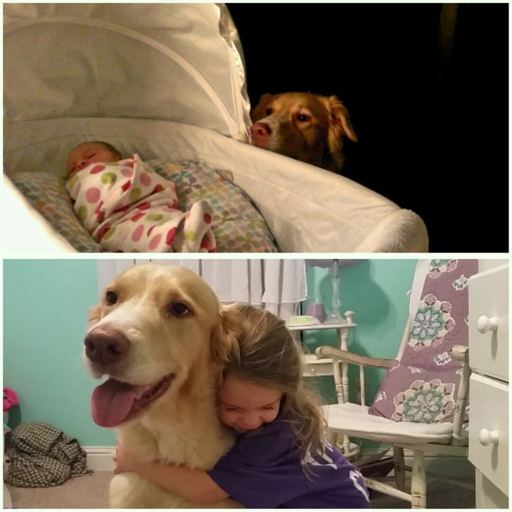 344af559abb1b79577458e5320