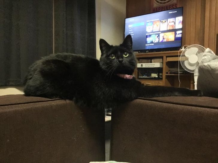 3454e6571ea5696351ff283c0f