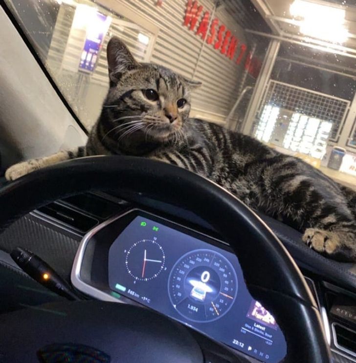 345c765b70b3ea352b1a89852e