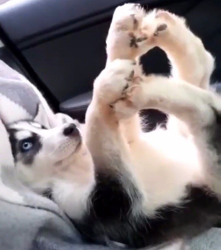 3460ae5953b1748c107b492876