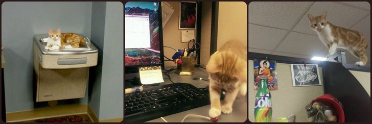 346231540cb08d5ce074f7d845