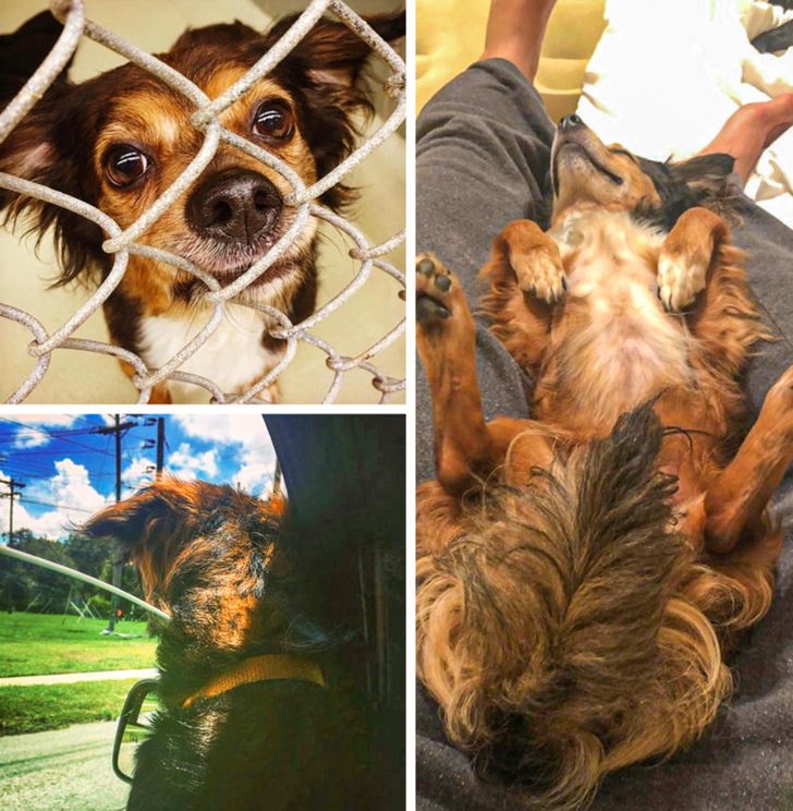 3467c551bcab91d241c67bdd3f