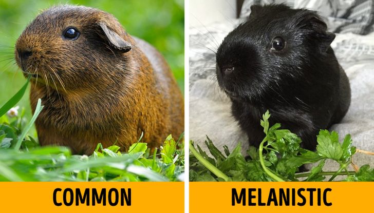 346a63596888986f256ccbc54a