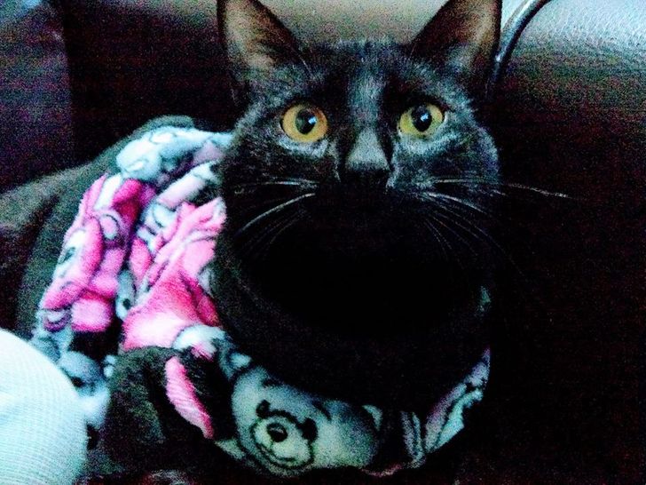 34746c5b4a9e3b0e9f53454ed7