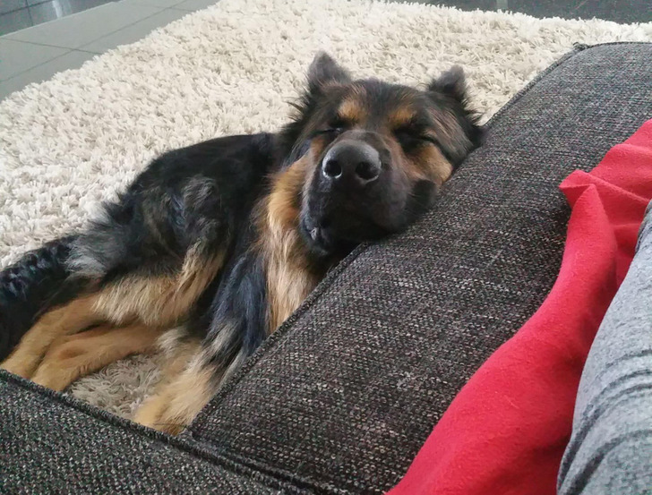 347619505593936a5bb543fa34