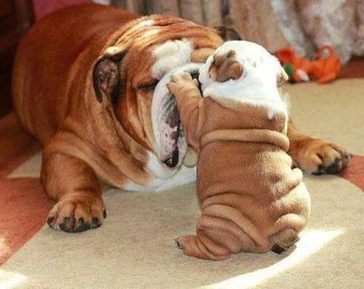 347b4f59c69e638666cec4a53e