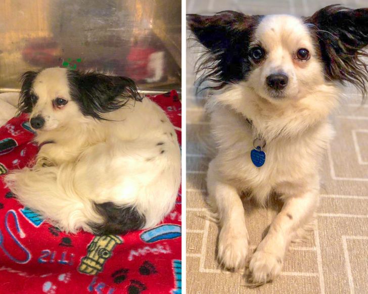 34805f5c49b134bf2d5c22a857