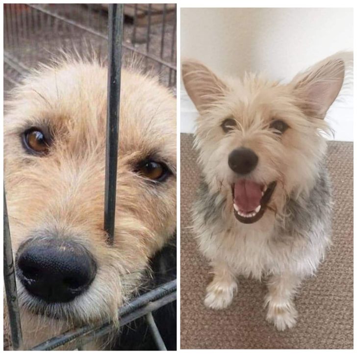 3480ca5abb97fa696f8055bd2f